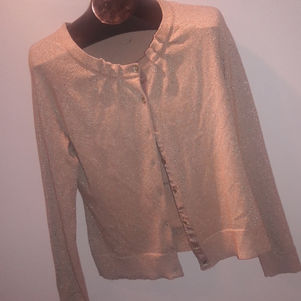 New York and Co. Metallic Sweater